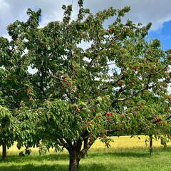 22-06-06 11-18-43 1052